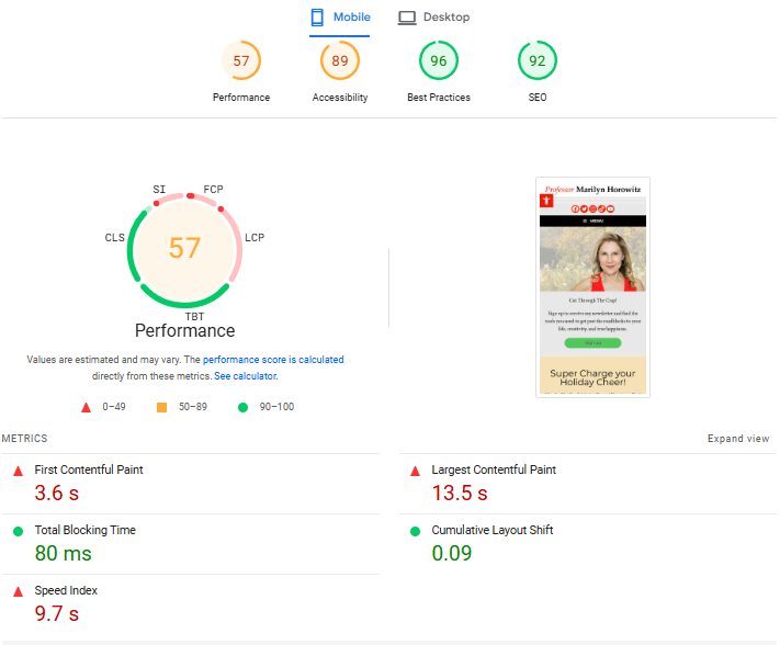 Check Website Speed and Performance